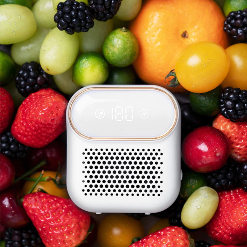 ELLEN - Ozongenerator och Deodoriseringsmedel för Smarta Kök