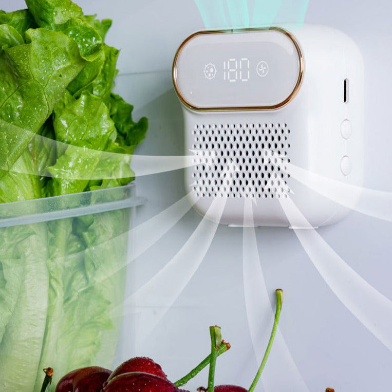 ELLEN - Ozongenerator och Deodoriseringsmedel för Smarta Kök