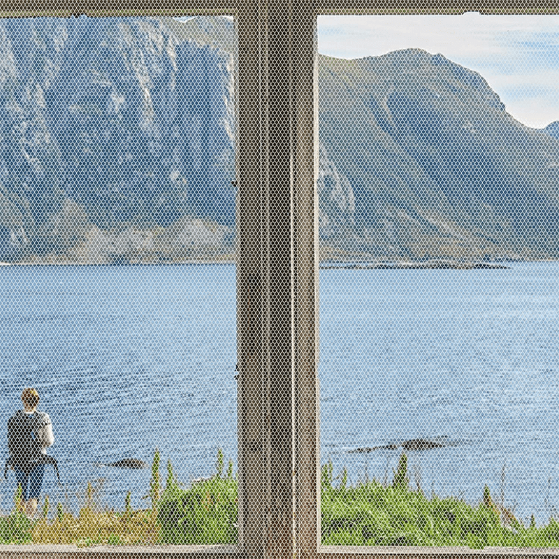 RUNE - Avtagbart, Lätthäftande Insektsskydd för Fönster