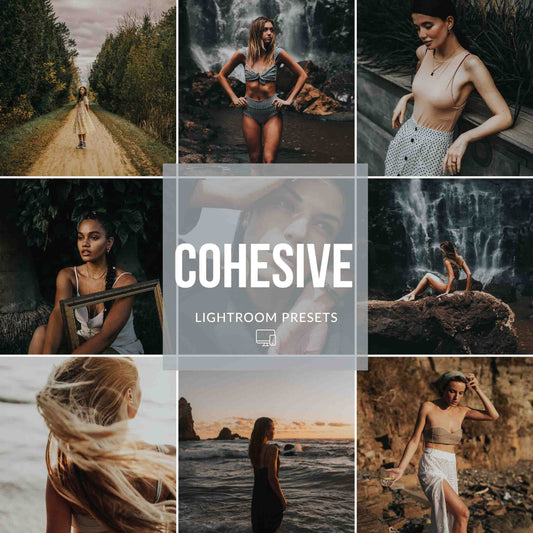 COHESIVE LIGHTROOM PRESETS